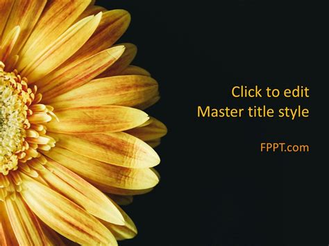 flower powerpoint|free flower powerpoint template.